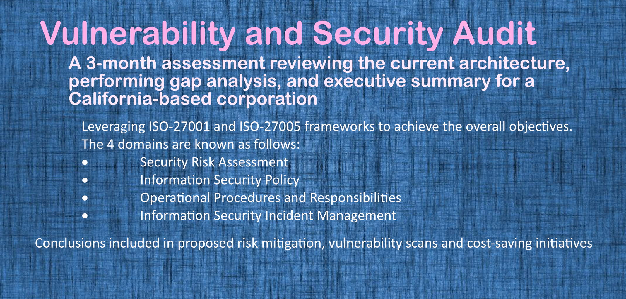 Redentity Vulnerability Audit